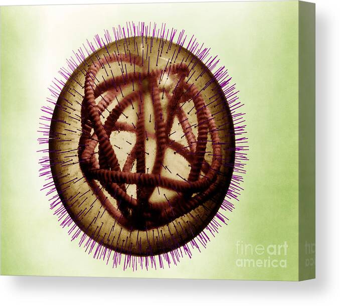 Measles Canvas Print featuring the photograph Measles Virus #2 by Omikron