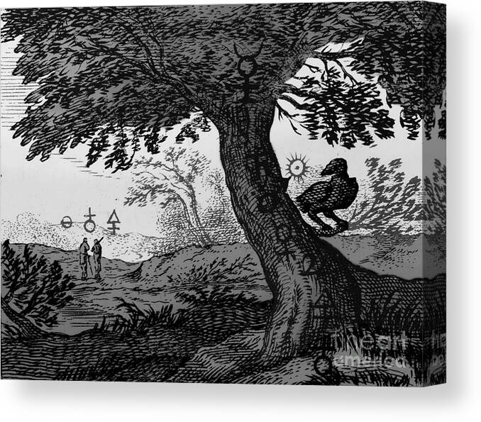 Historic Canvas Print featuring the photograph Alchemy Illustration #30 by Science Source