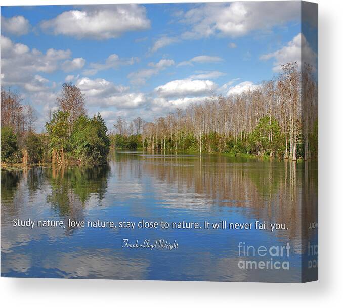  Canvas Print featuring the photograph 6- Nature by Joseph Keane