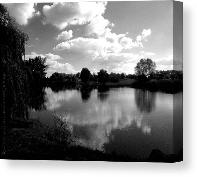 Choice Canvas Print featuring the photograph An Inner Choice by Mimulux Patricia No