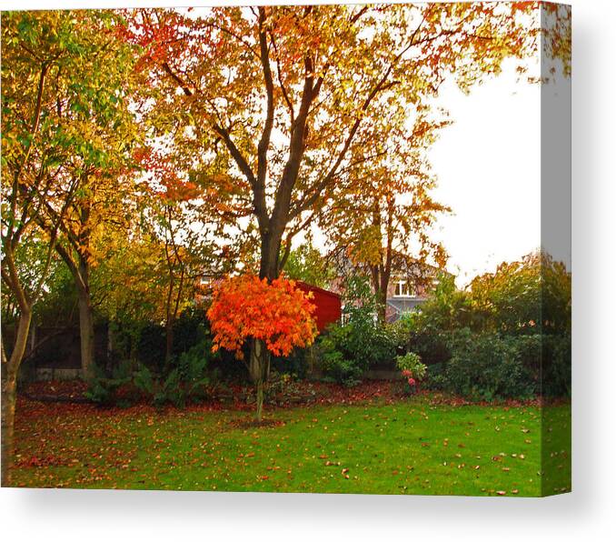 Autumn Garden Canvas Print featuring the photograph Autumn Garden by Bai Qing Lyon