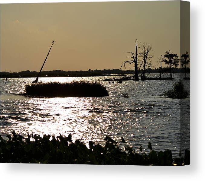 Bayou Canvas Print featuring the photograph Bayou Sunset by Maggy Marsh