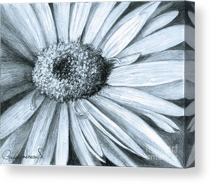 Flower Canvas Print featuring the drawing Black White Gerber by Phyllis Howard