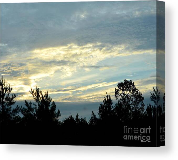 Blue Canvas Print featuring the photograph Blue Morning by Maria Urso