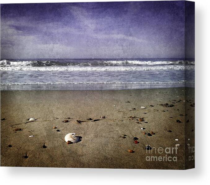 Shell Canvas Print featuring the photograph Broken Shell at Twilight by Laura Iverson