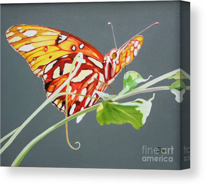 Butterfly Canvas Print featuring the painting Butterfly on Vine by Jimmie Bartlett
