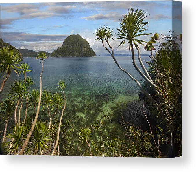 00486980 Canvas Print featuring the photograph Cadlao Island Near El Nido Palawan by Tim Fitzharris