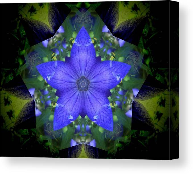Mandala Canvas Print featuring the photograph Campanula Star Flower Mandala by Rene Crystal
