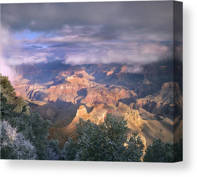 00176712 Canvas Print featuring the photograph Clearing Skies Over The South Rim Grand by Tim Fitzharris