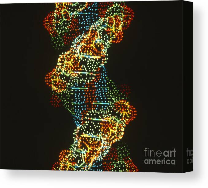 Dna Canvas Print featuring the photograph Dna by Science Source
