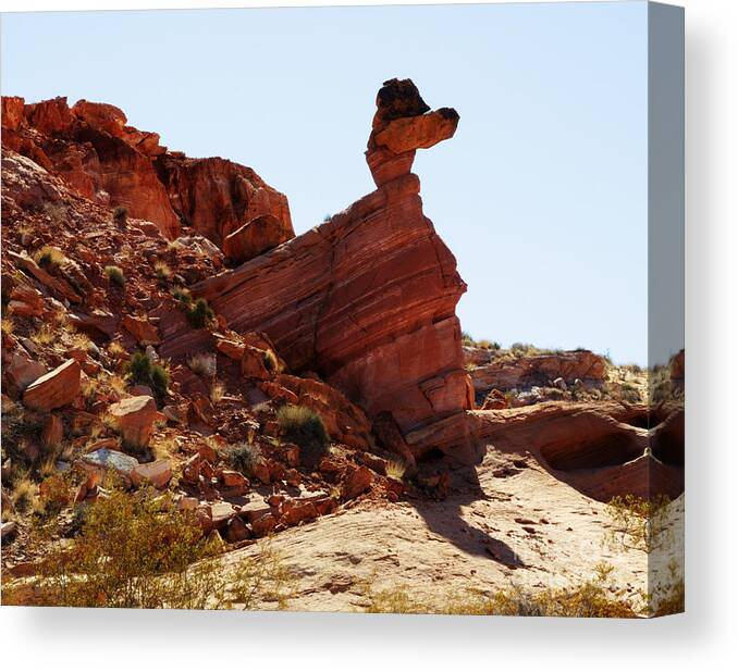 Valley Of Fire Canvas Print featuring the photograph Duck Rock in the Valley of Fire by Vivian Christopher