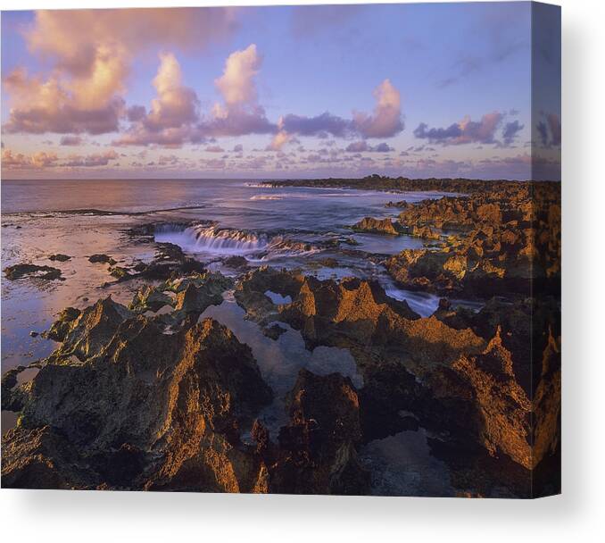 00176755 Canvas Print featuring the photograph Dusk At Sharks Cove Oahu Hawaii by Tim Fitzharris