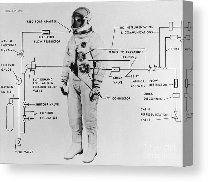 Science Canvas Print featuring the photograph Extravehicular Space Suit, 1965 by NASA/Science Source