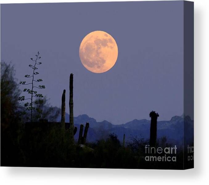 Full Moon Canvas Print featuring the photograph Full Moon Rise Gold Canyon AZ by Joanne West
