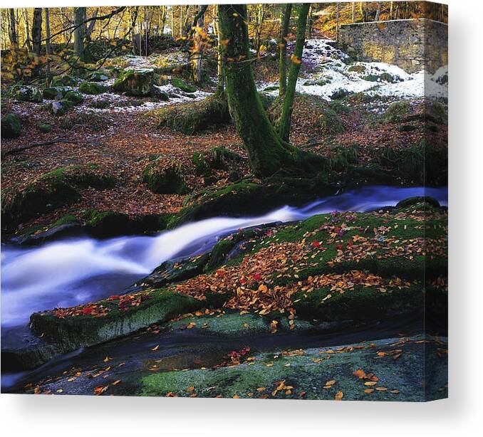 Co. Waterfall Canvas Print featuring the photograph Glenmacnass Waterfall, Co Wicklow by The Irish Image Collection 