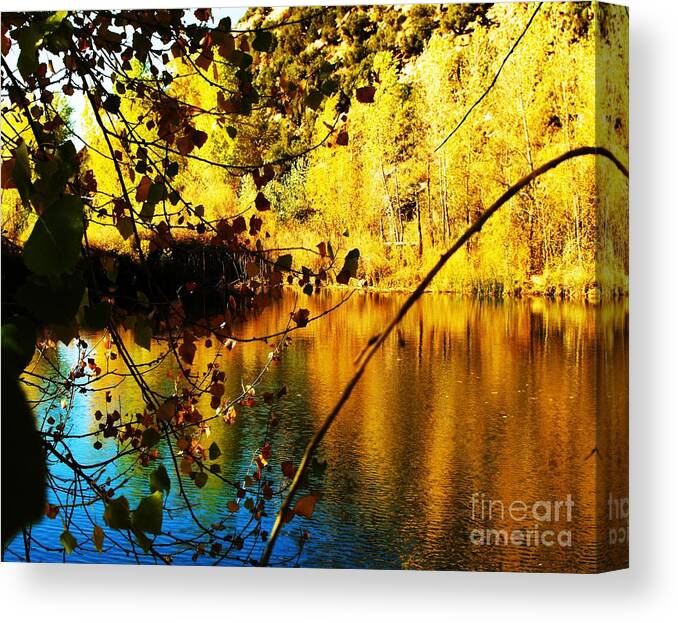 Black And Brown Silhouettes Of Trees And Leaves Set Off This Beautifully Framed Clear Water Pond Canvas Print featuring the digital art Gold and Blue Pond by Annie Gibbons