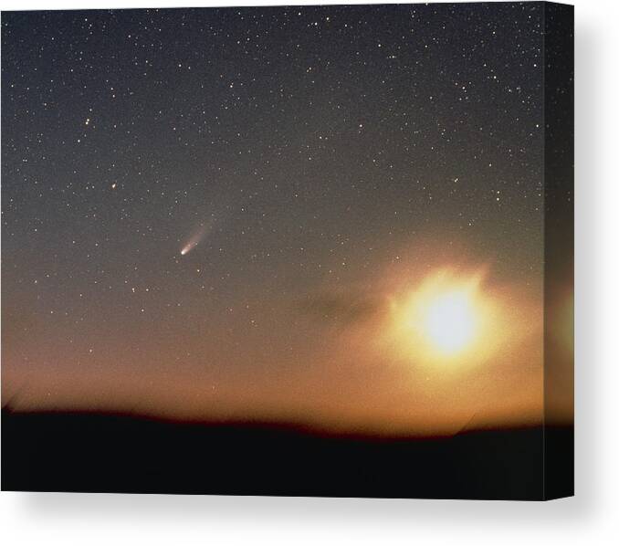Comet Halley Canvas Print featuring the photograph Halley's Comet Photographed From New Zealand by Barney Magrath