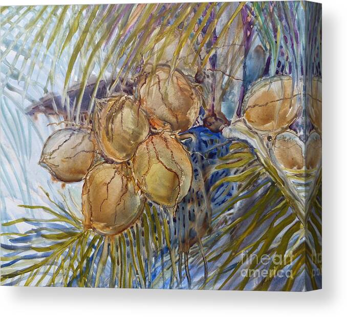 Coconut Canvas Print featuring the painting Hawaiian Cluster by Louise Peardon