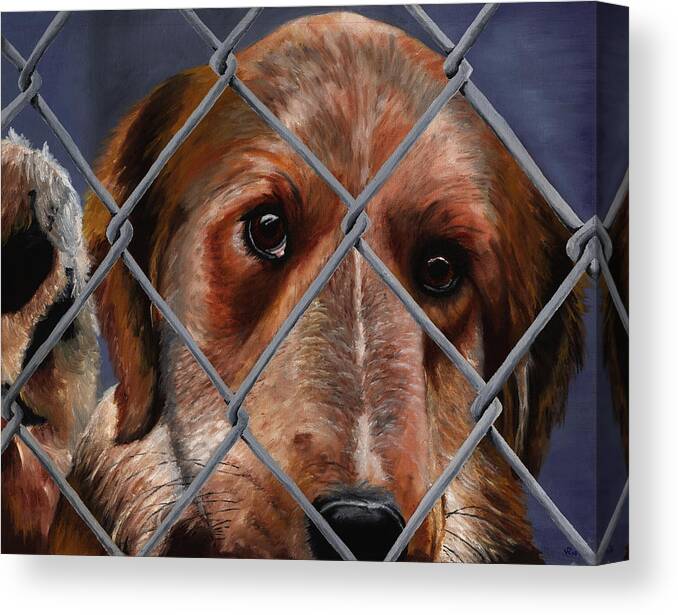 Pets Canvas Print featuring the painting Help Release Me II by Vic Ritchey