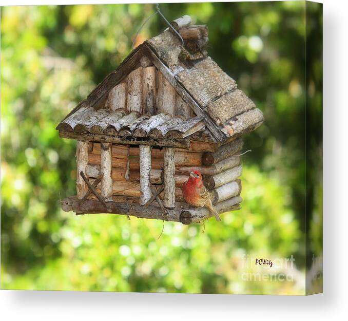 Bird Canvas Print featuring the photograph Home Tweet Home by Patrick Witz