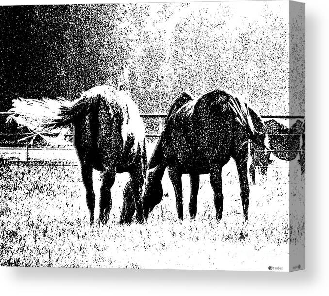 Horses Canvas Print featuring the digital art Horse Tails by Lizi Beard-Ward