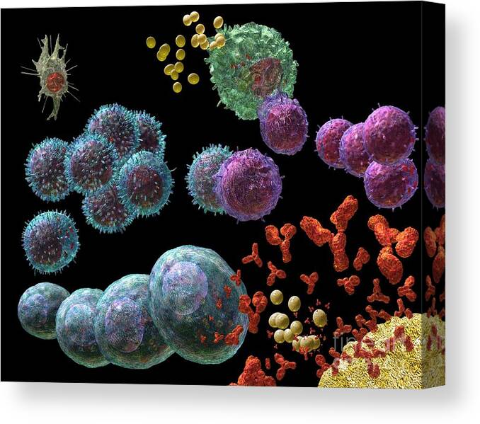 Antibodies Canvas Print featuring the digital art Immune Response Antibody 2 by Russell Kightley