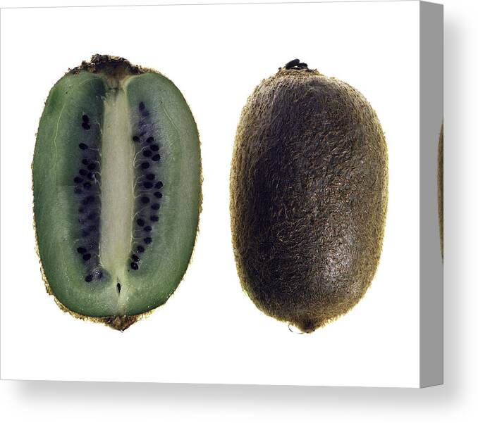 Fruit Canvas Print featuring the photograph Kiwi by Nathaniel Kolby