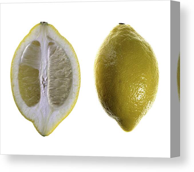 Fruit Canvas Print featuring the photograph Lemon by Nathaniel Kolby
