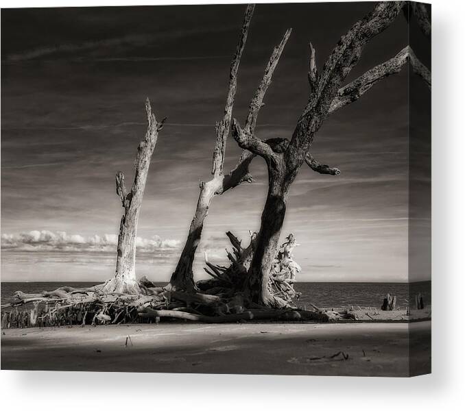 Black And White Canvas Print featuring the photograph Lost World by Mario Celzner