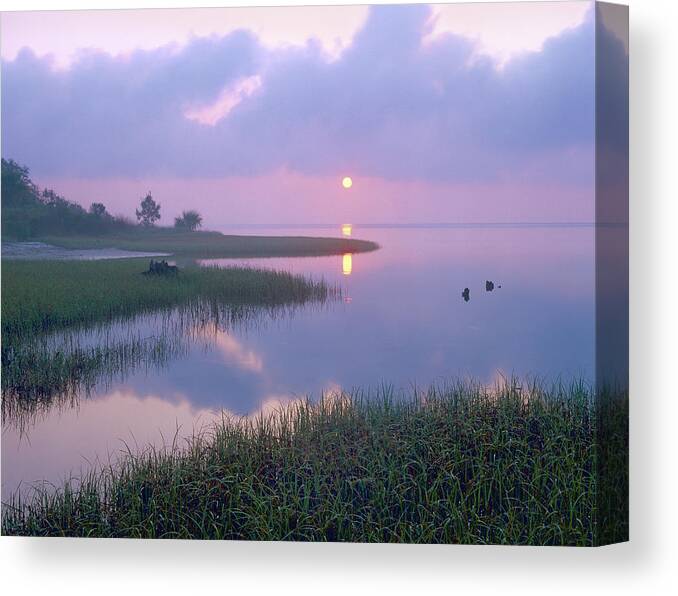 00175762 Canvas Print featuring the photograph Marsh At Sunrise Over Eagle Bay St by Tim Fitzharris