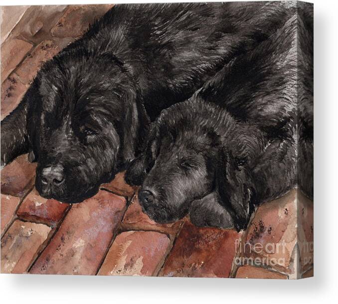 Watercolor Canvas Print featuring the painting Nap Time by Nancy Patterson