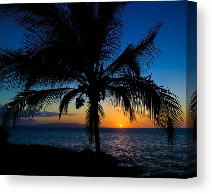 Buhler's Canvas Print featuring the photograph Palm Sunset by David Buhler