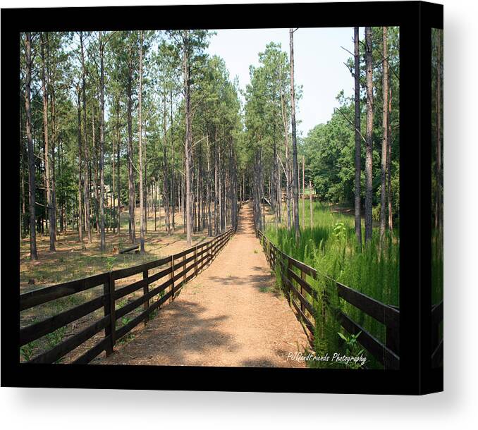 Path Canvas Print featuring the photograph 'Path to Serenbe' by PJQandFriends Photography