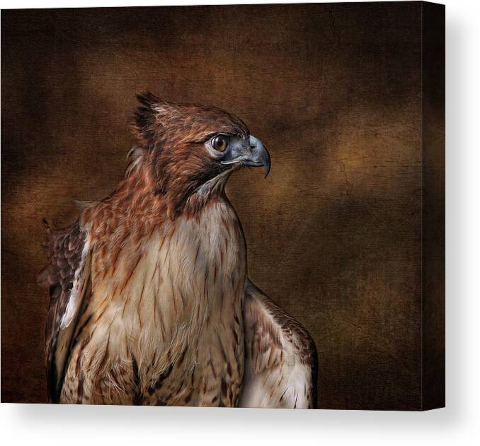 Raptors Canvas Print featuring the photograph Pepe On Wood by Pat Abbott