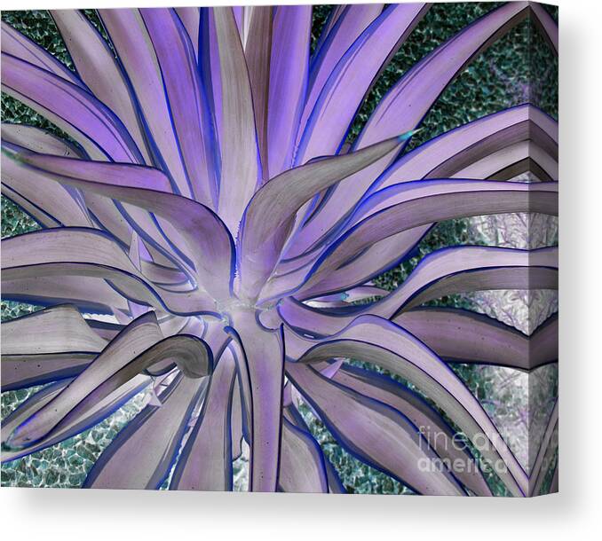 Purple Aloe Canvas Print featuring the photograph Purple Aloe by Rebecca Margraf