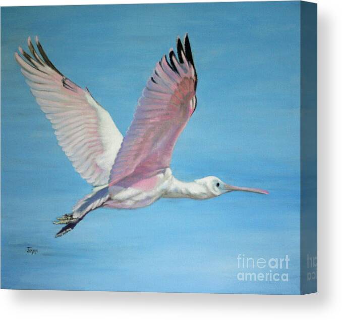 Roseate Spoonbill Canvas Print featuring the painting Roseate Spoonbill in Full Flight by Jimmie Bartlett