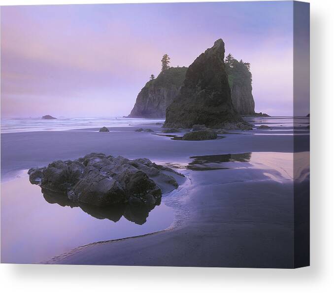00177107 Canvas Print featuring the photograph Ruby Beach With Seastacks And Boulders by Tim Fitzharris
