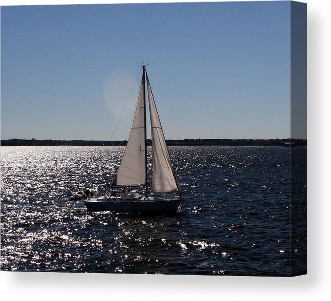 Baltimore Canvas Print featuring the photograph Sailing on the Bay2 by Karen Harrison Brown