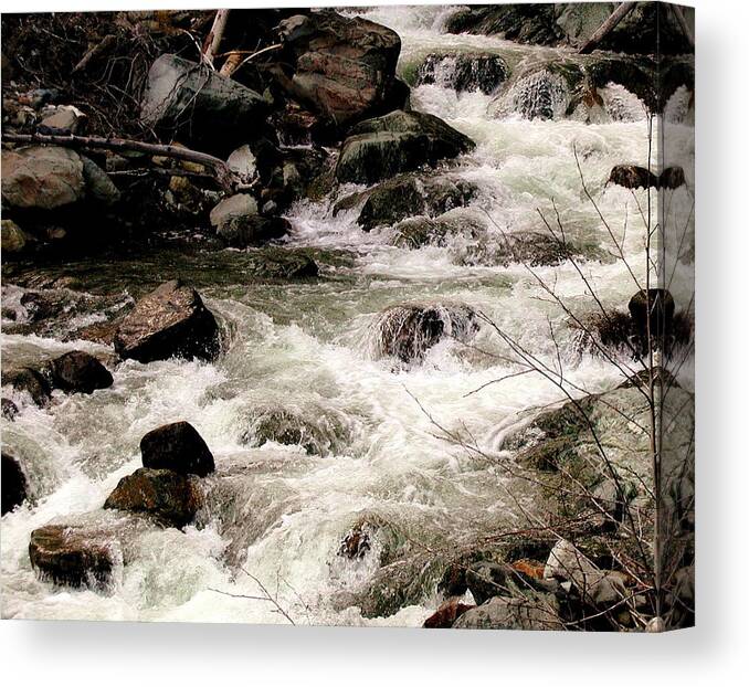  Canvas Print featuring the photograph Seasonal Creek by William McCoy