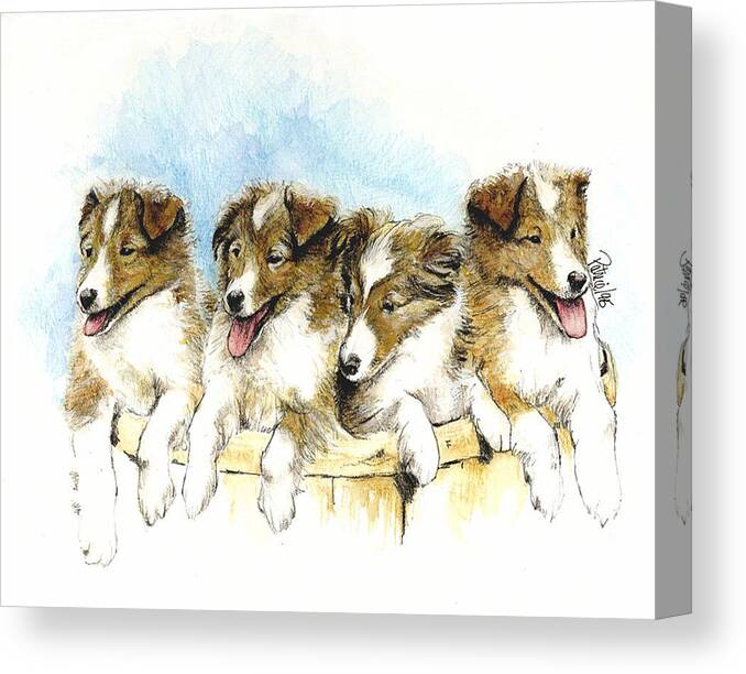 Dog Art Canvas Print featuring the painting Sheltie Pups by Patrice Clarkson