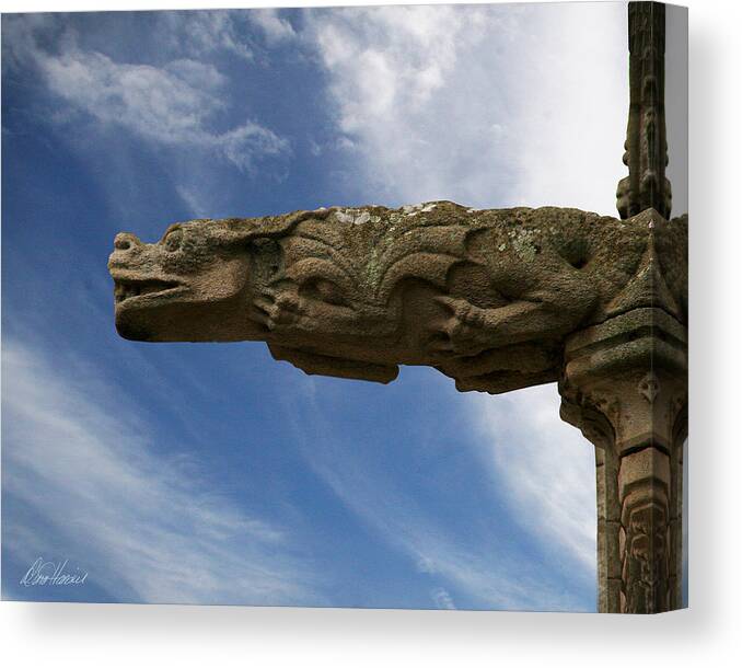 Stone Canvas Print featuring the photograph Stone Dragon by Diana Haronis