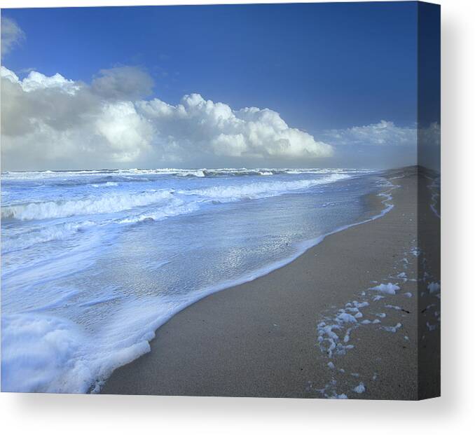 Mp Canvas Print featuring the photograph Storm Cloud Over Beach, Canaveral by Tim Fitzharris