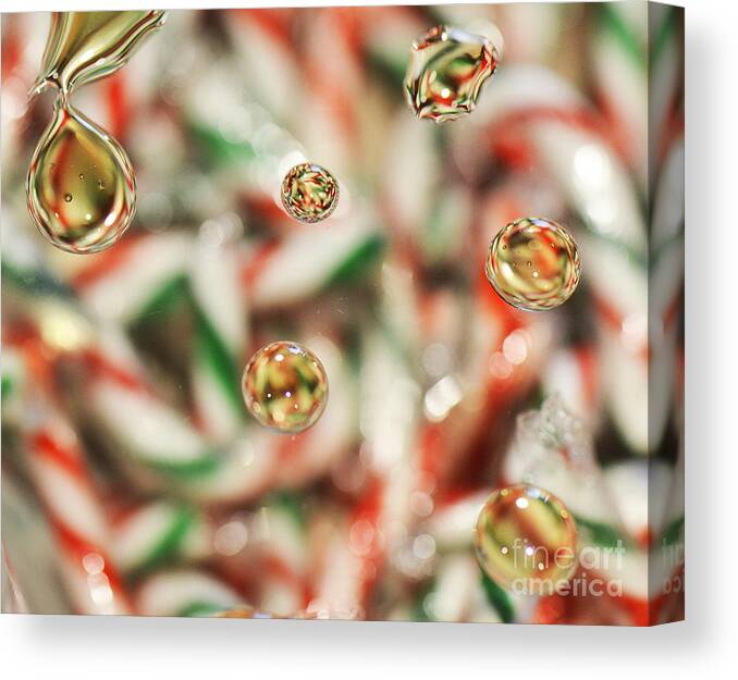 Droplets Canvas Print featuring the photograph Sugar on Canes by Traci Cottingham