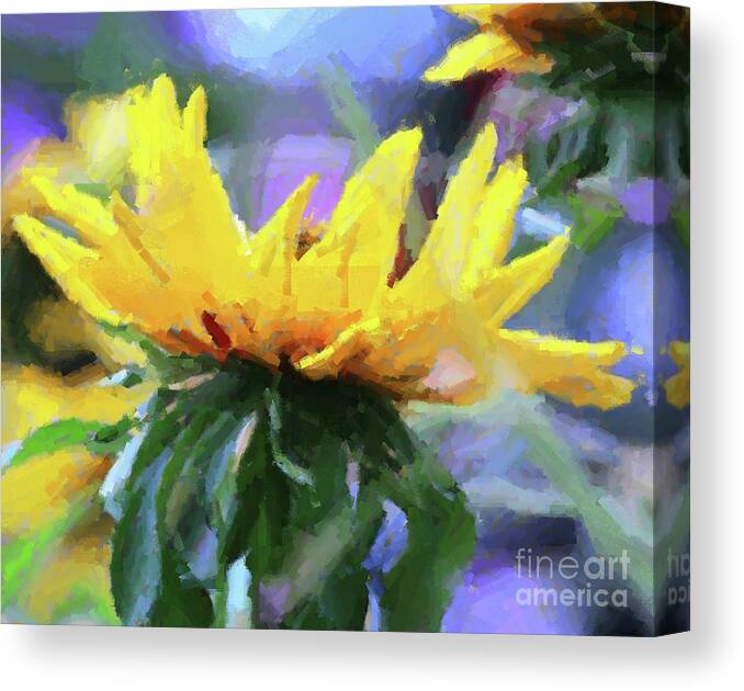 Manipulated Canvas Print featuring the photograph Sunflower In Chalk Effect by Margaret Hamilton