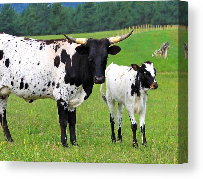 Texas Canvas Print featuring the photograph Texas Longhorn Cow and Calf by Karon Melillo DeVega