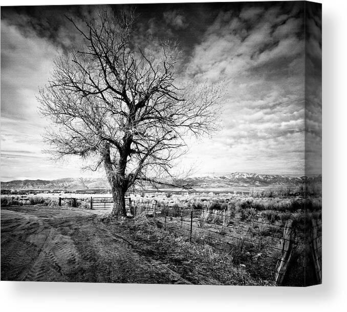 Landscape Canvas Print featuring the photograph Turn Left at The Arrow by Joe Palermo