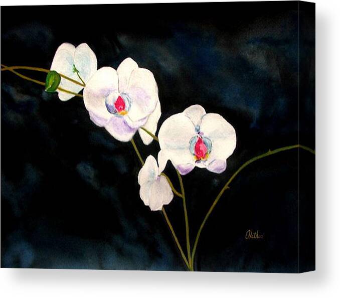 Flowers Canvas Print featuring the painting White Orchids by Alethea M