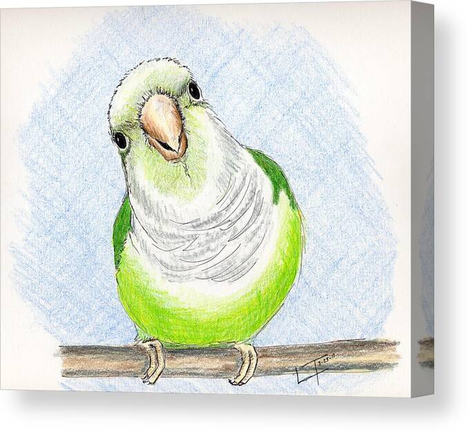 Bird Canvas Print featuring the painting Who Me by Laurilee Taylor