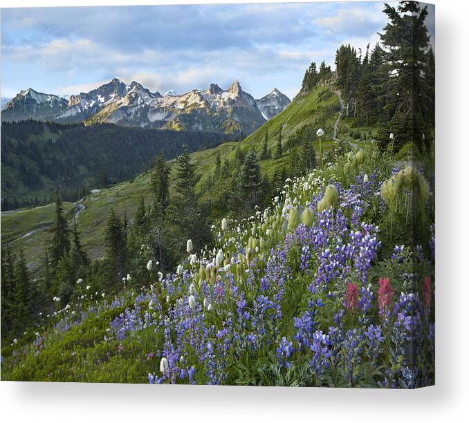 00437811 Canvas Print featuring the photograph Wildflowers And Tatoosh Range Mount by Tim Fitzharris