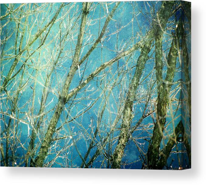 Landscape Canvas Print featuring the photograph Wonderland by Amy Tyler